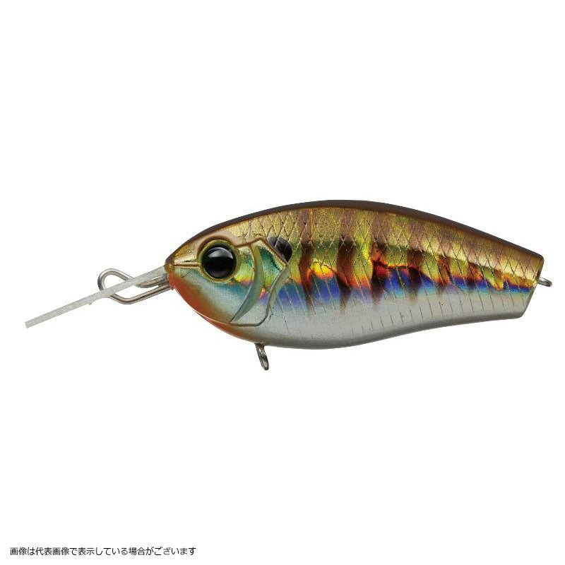 Evergreen Bass Lure Fact Spin Craft #50 Baby Gill