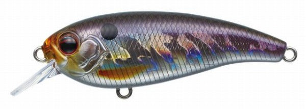 Evergreen Bass Lure Belcanto #209 Hologram Wakasagi