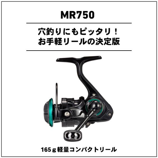 daiwa 750 reel Daiwa 19MR 750