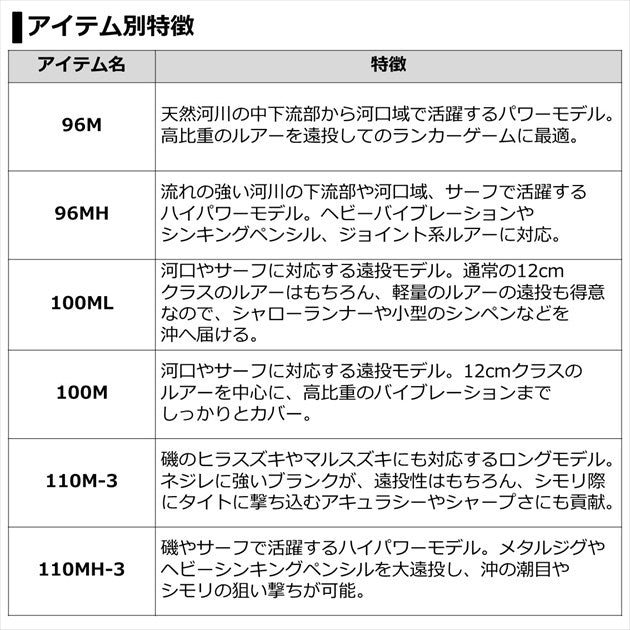 Daiwa 21 Seabass Rod Labrax AGS110MH-3/ N (Spinning 2 Piece)