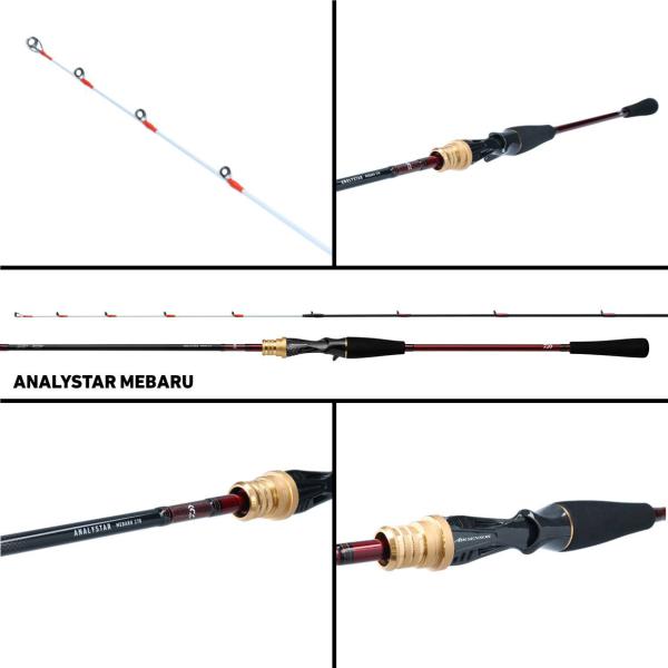 Daiwa Analystar Mebaru 270 (Baitcasting 2 Piece)