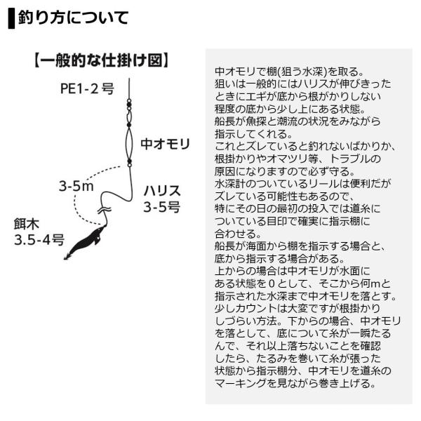 Daiwa Aoriika X 130/ R (Baitcasting 1 Piece)