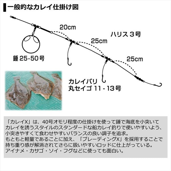 Daiwa 21 Karei X 82-160 (Baitcasting 2 Piece)