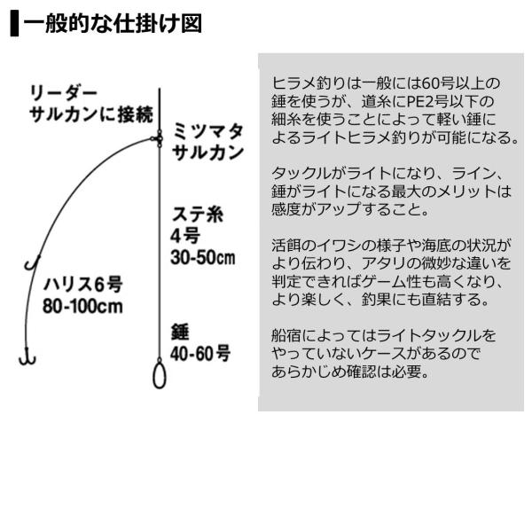 Daiwa Light Hirame X M-240/ R (Baitcasting 2 Piece)