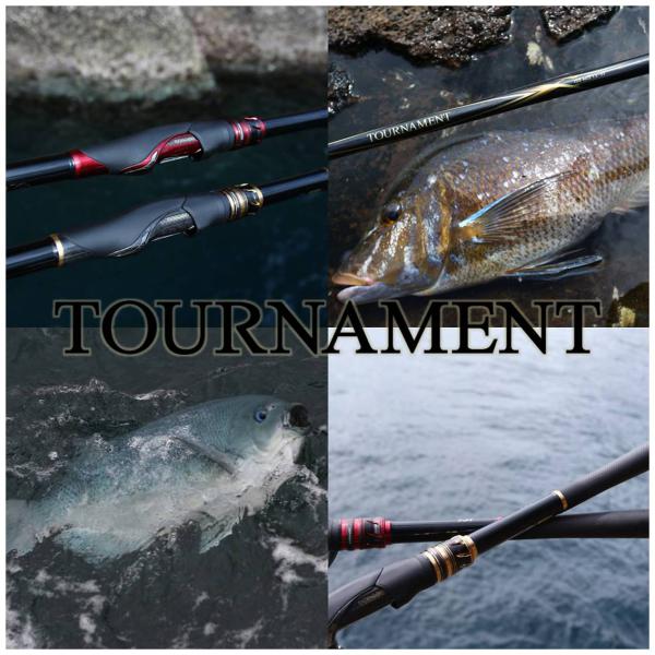 Daiwa Tournament ISO AGS 1.75-50/ R (Spinning 5 Piece)