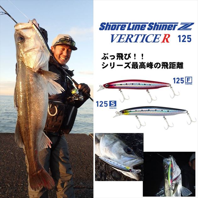 Daiwa Seabass Lure Shoreline Shiner-Z Vertis R 125S Chartback Pearl