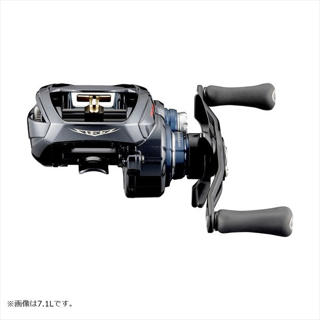 Daiwa 21 Steez A TW HLC 8.1L (Left)