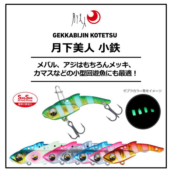 Daiwa Gekkabijiin Kotetsu 3g Keimura Holo Shirasu