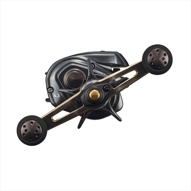 Daiwa 21 Tierra IC 100(Right Hand)