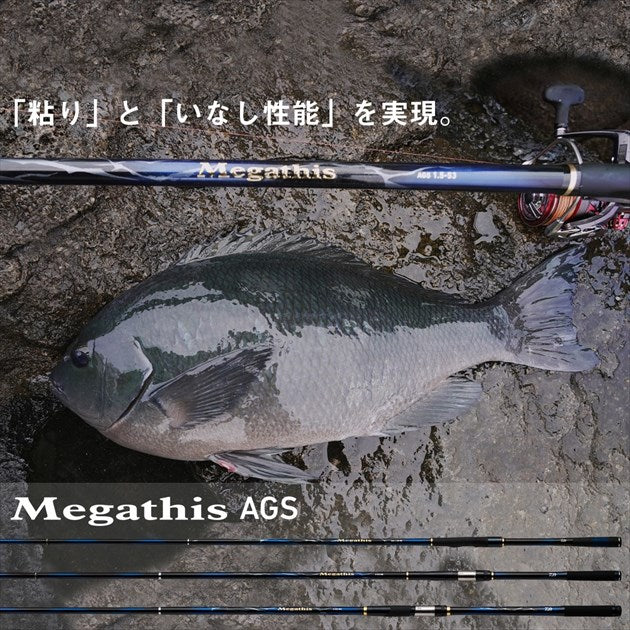 Daiwa Iso Rod Megathis AGS 1-53/ N (Spinning 5 Piece)