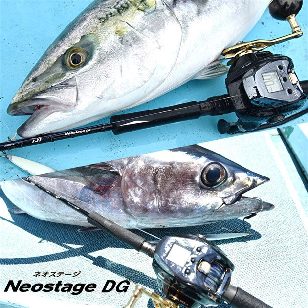 Daiwa Neostage DG J60B-4  (Baitcasting 2 Piece)