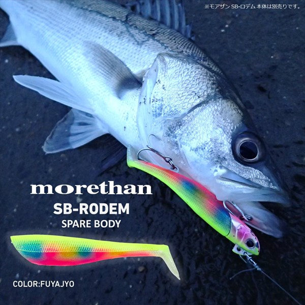 Daiwa Morethan Seabass Rodem Spare Body Seguro Sardine