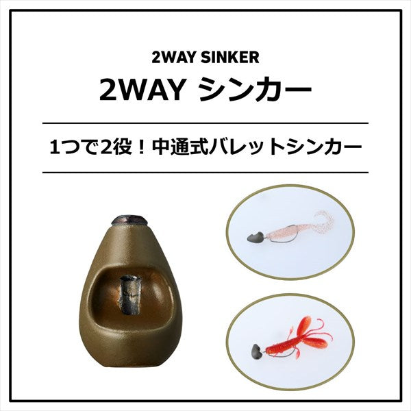 Daiwa 2WAY Sinker 21g