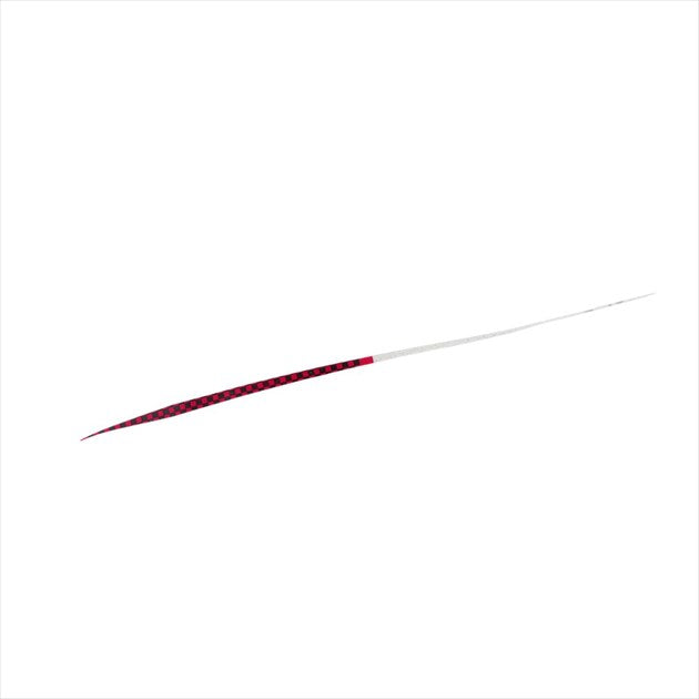 Daiwa Tairaba Sea Bream Kohga Silicone Tie Nakai Tune STR Slim Ichimatsu Red + Gold Lame