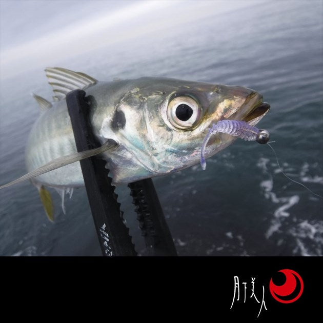 Daiwa Gekkabijin Ajing Beam FAT 1.5inch Grain Krill