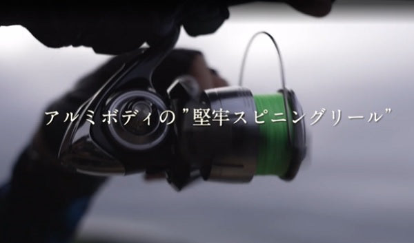 Daiwa 23 Lexa LT6000D-H
