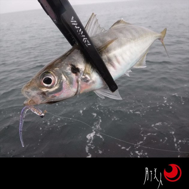 Daiwa Gekkabijin ShirasuBeam 2.8 inch Ikagoro Black