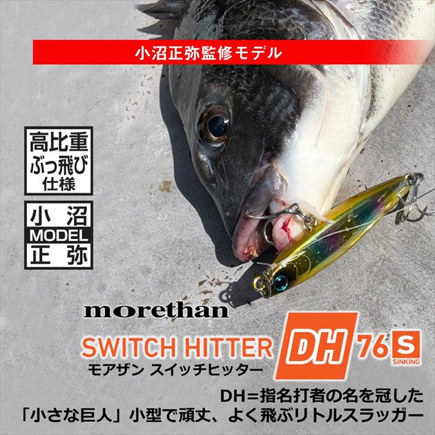 Daiwa Seabass Lure Morethan Switch Hitter DH-76S Anchovy Redberry