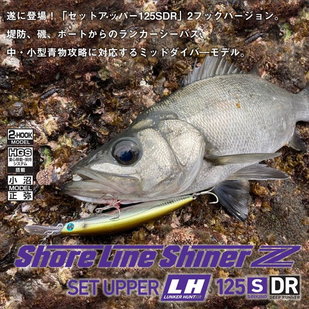 Daiwa Seabass Lure Shoreline Shiner-Z Set Upper Lunker Hunter 125S-DR Ocean Anchovy