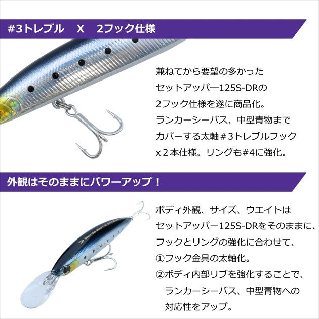 Daiwa Seabass Lure Shoreline Shiner-Z Set Upper Lunker Hunter 125S-DR Ocean Anchovy