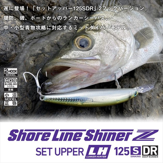 Daiwa Seabass Lure Shoreline Shiner-Z Set Upper Lunker Hunter 125S-DR Keimura Clear Shirasu