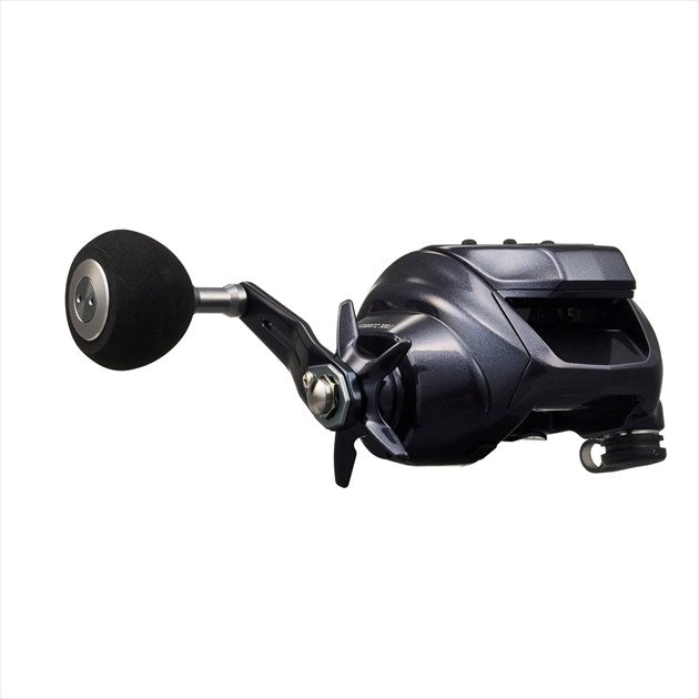 Daiwa 23 Leobritz 300J (Right handle)