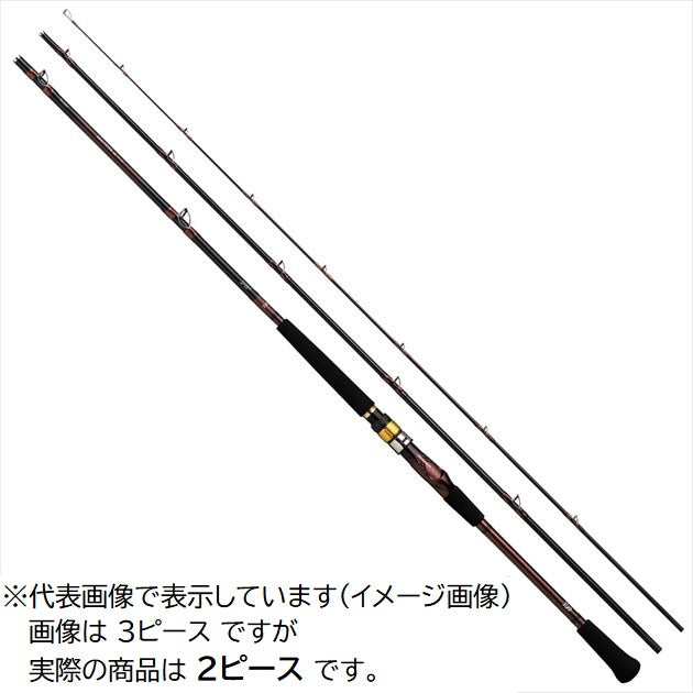 Daiwa Analistar 64 30-215/Q (Spinning 2 Piece)