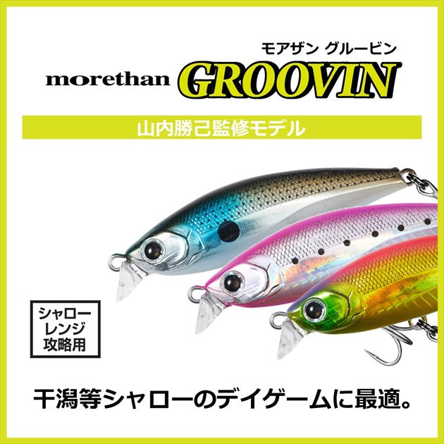 Daiwa Morethan Groovin 65S NATSUSORA