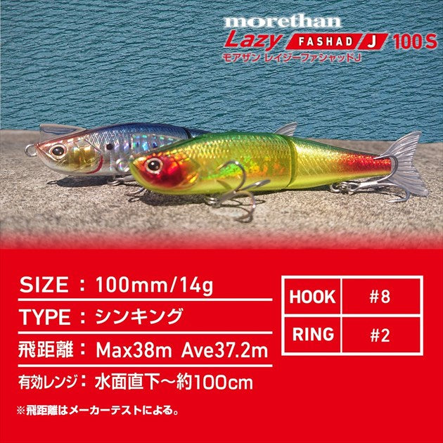 Daiwa Seabass Lure Morethan Lazy Fashad J100S 3D Inakko