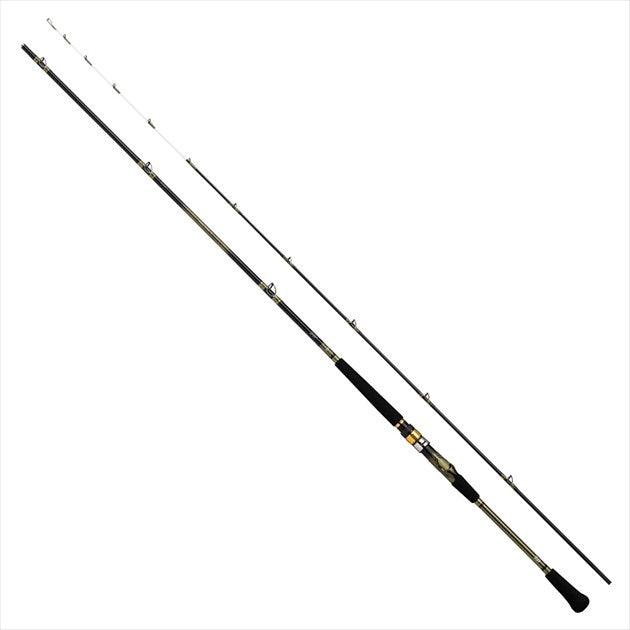 Daiwa Analistar 73 30-180/Q (Spinning 2 Piece)