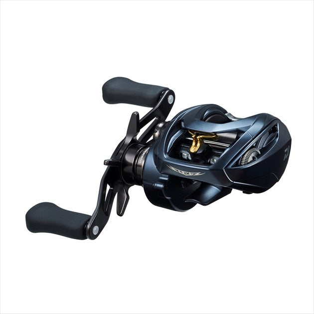 Daiwa 22 Steez A2 TW 1000 (Right)