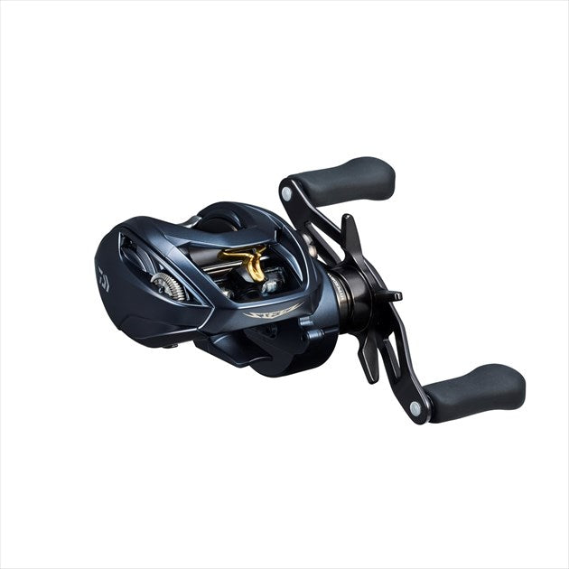 Daiwa 22 Steez A2 TW 1000L (Left)