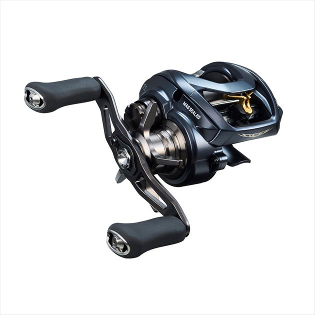 Daiwa 22 Steez A2 TW 1000H (right)