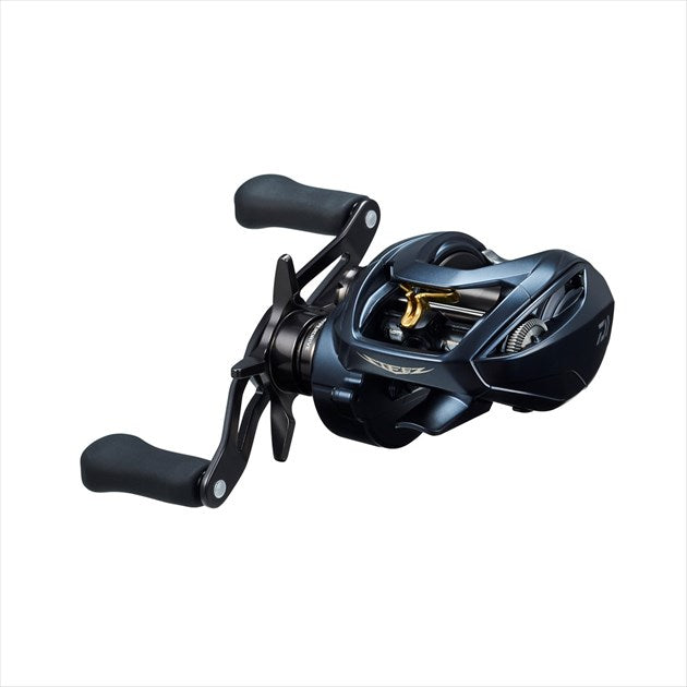 Daiwa 22 Steez A2 TW 1000H (right)