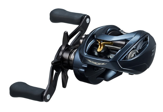 Daiwa 22 Steez A2 TW 1000XH (Right)