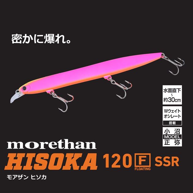 Daiwa SeaBass Lure Morethan Hisoka 120F-SSR Adelecchart back Blackberry