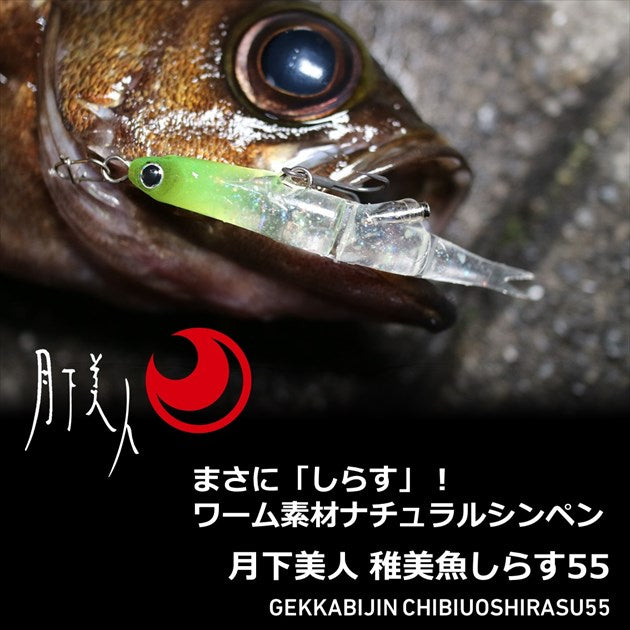 Daiwa Saltwater Plug Gekkabijin Chibiuo Shirasu 55mm Luminous Shirasu