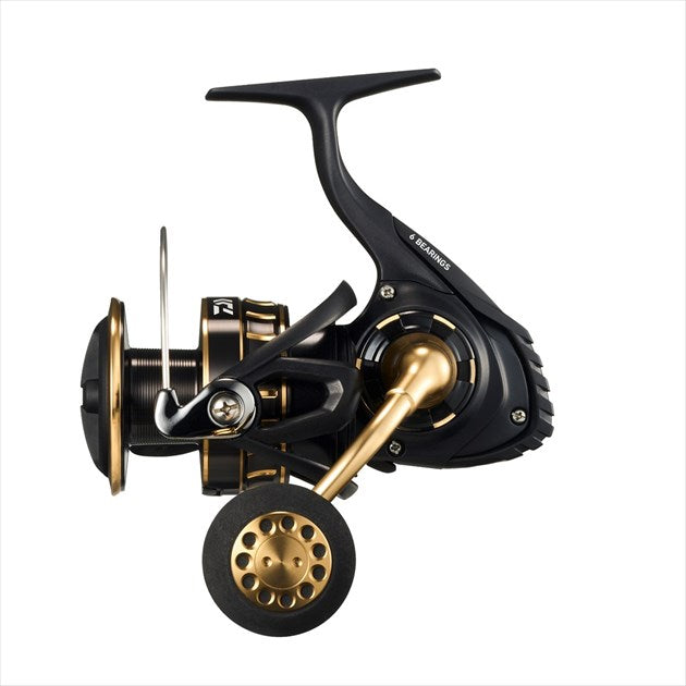 Daiwa 23 BG SW 6000D-P