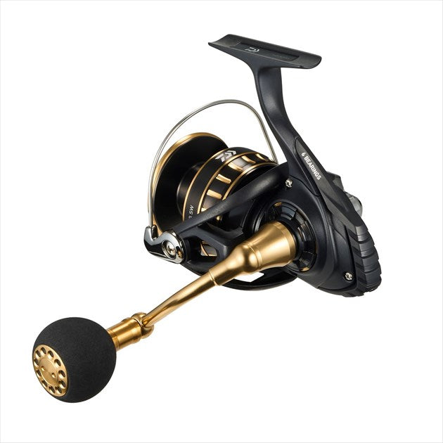 Daiwa 23 BG SW 6000D-P