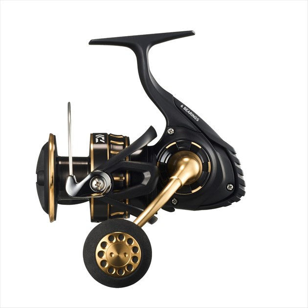 Daiwa 23 BG SW 6000D-H