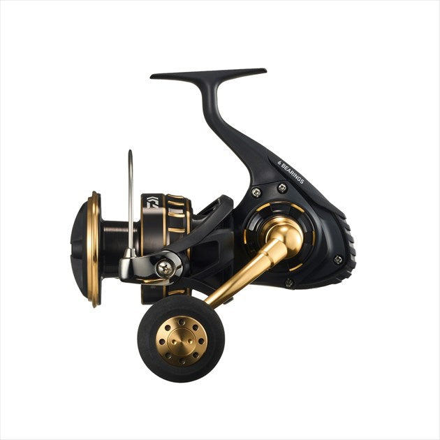 Daiwa 23 BG SW 10000-H