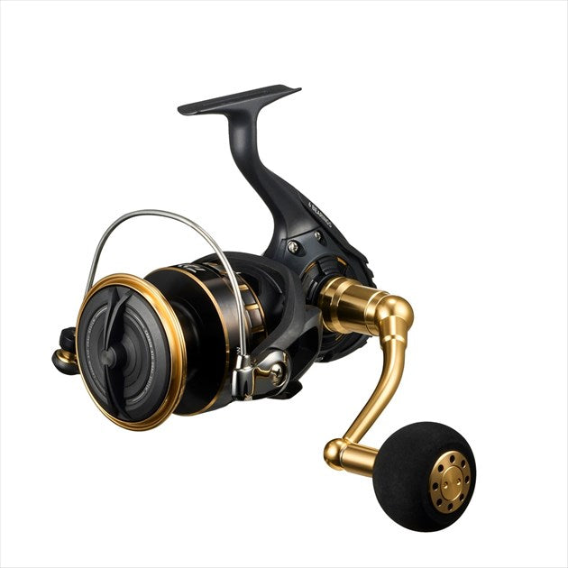 Daiwa 23 BG SW 10000-H