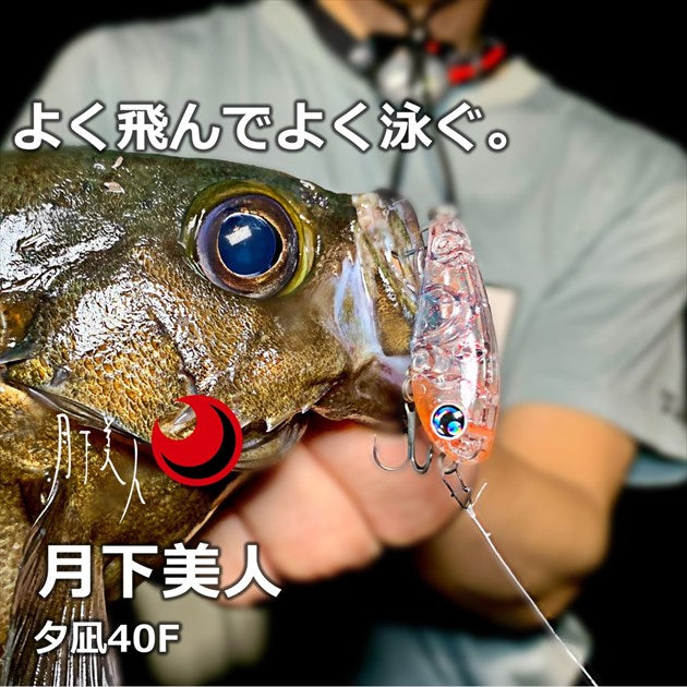 Daiwa Saltwater Plug Gekkabijin Yunagi 40F Sasoi Pinky Night