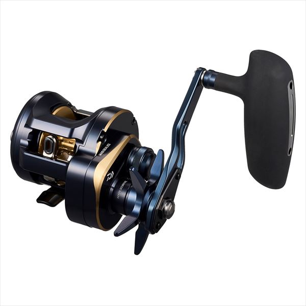 Daiwa 25 Saltig 300L (Left handle)