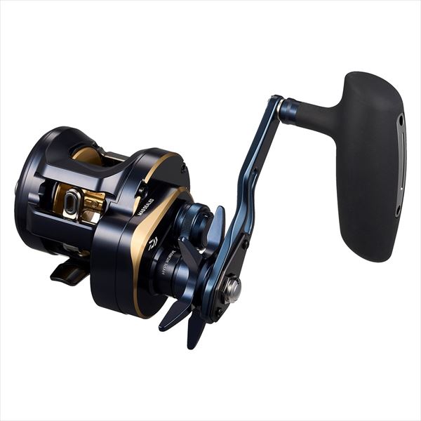 Daiwa 25 Saltiga 300HL (Left handed)