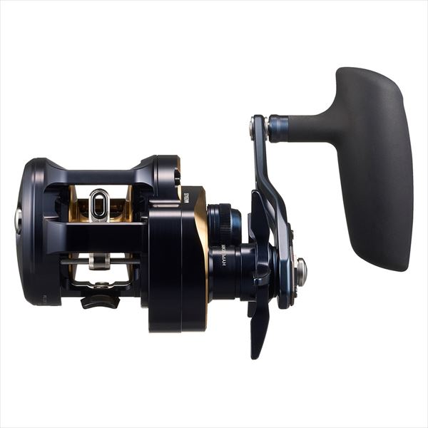 Daiwa 25 Saltiga 300HL (Left handed)