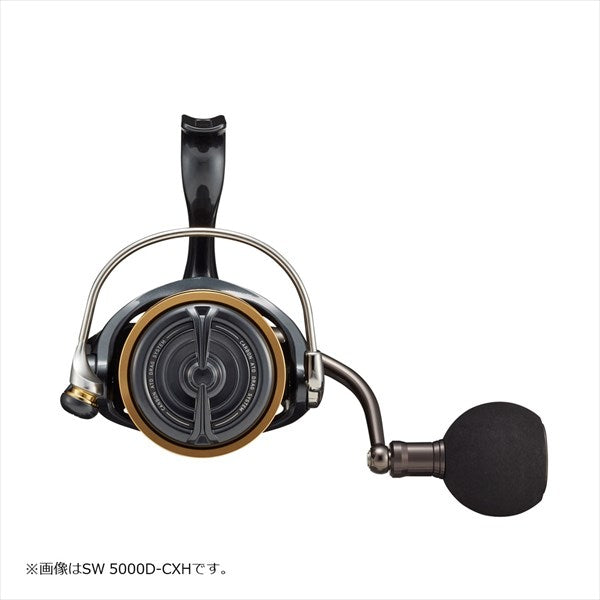 Daiwa 22 Caldia SW 5000-CXH