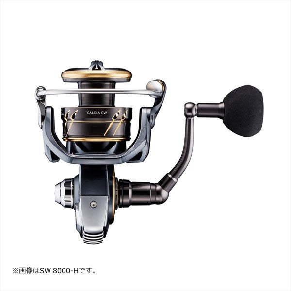 Daiwa 22 Caldia SW 8000-P