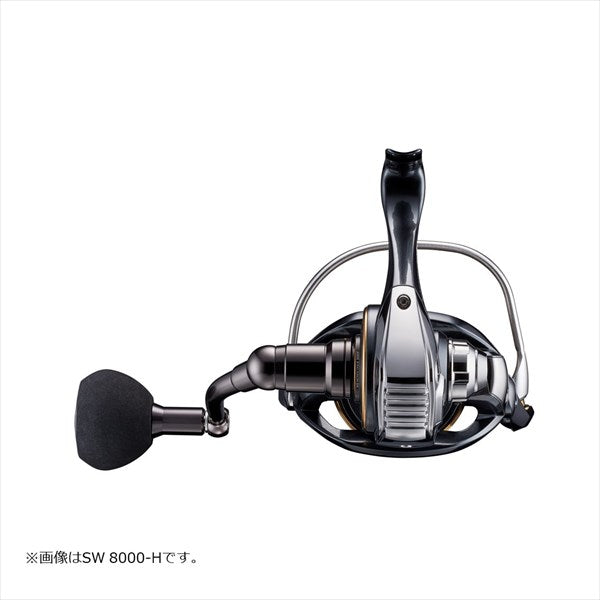 Daiwa 22 Caldia SW 8000-P