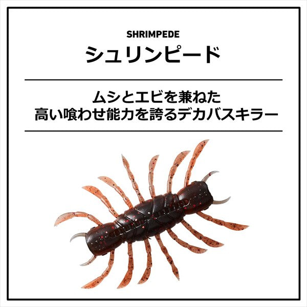 Daiwa Warm Schulinated Live Shrimp